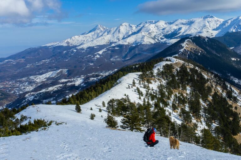 A hiker and dog on a snowy Oshlak ridge, with snow covered mountains rising beyond under a clear blue sky