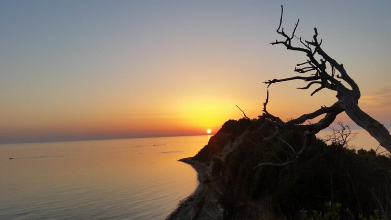 Sunset over the Adriatic Sea at Cape of Rodon, with a gnarled tree silhouetted on the rocky shore
