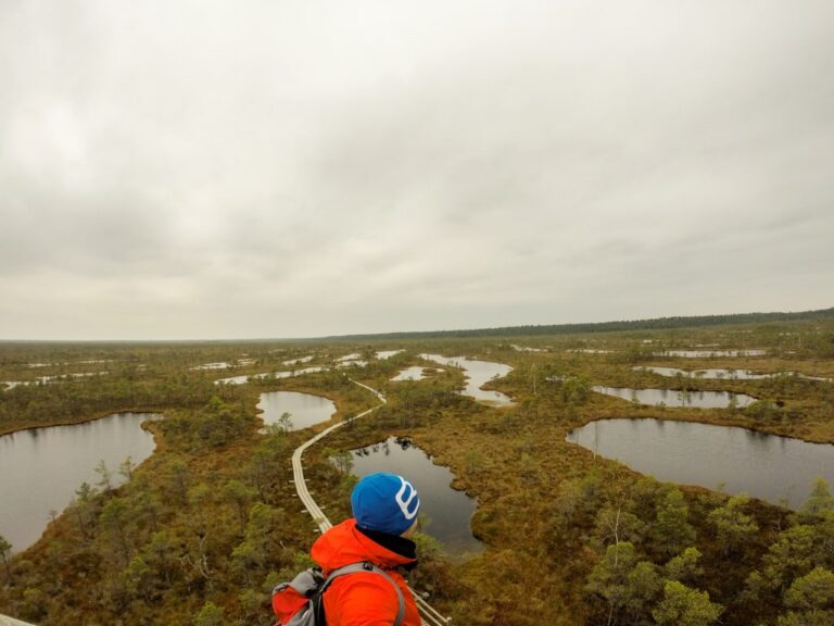A hiker overlooks wetlands and winding pools in Kemeri National Park beneath an overcast sky