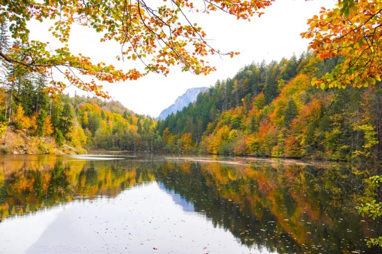 Autumn trees reflected in a calm lake on the Kufstein Four Lakes hike