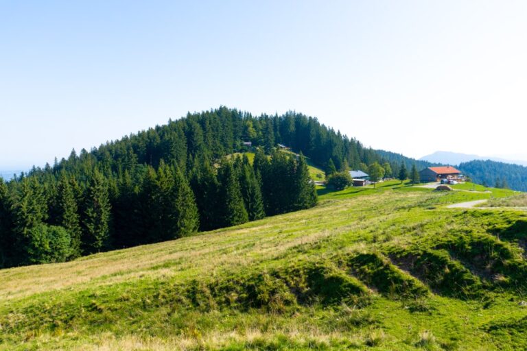 Green hillside and forest near Schliersee, with a small red roofed building beneath a clear blue sky
