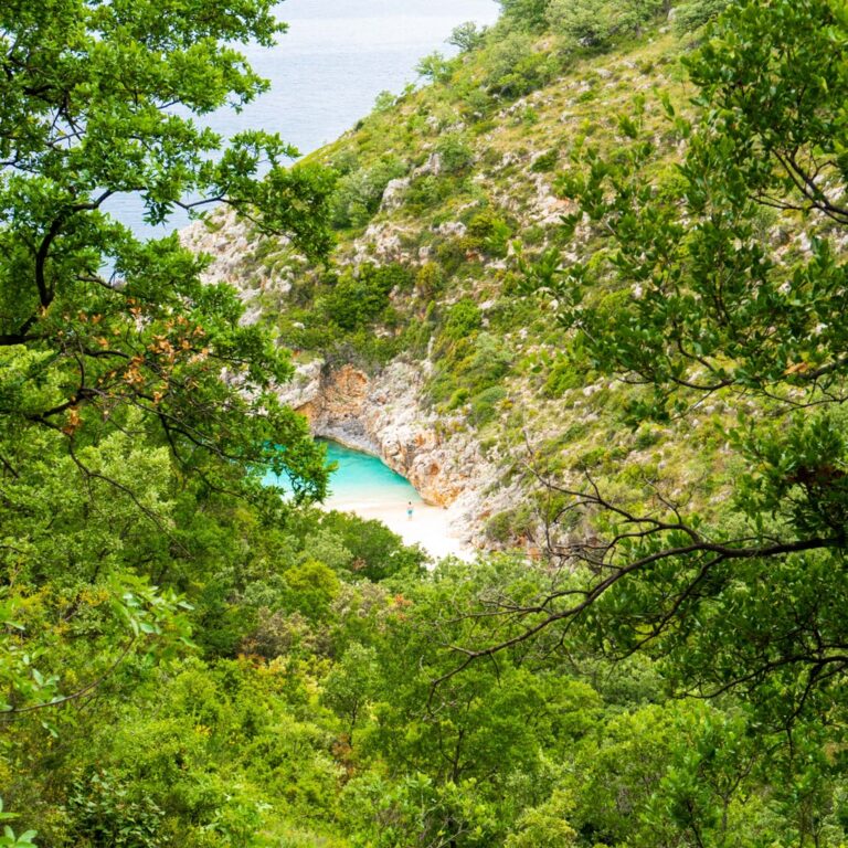 Turquoise water and a small pale beach at Shen Andre Bay, framed by dense green trees and rocky hillsides