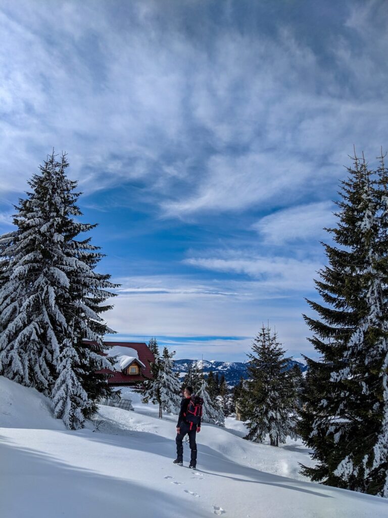 A hiker on a snowy trail among pine trees at Koshutan, with distant mountains beneath a cloudy winter sky