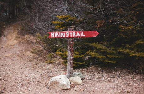 Red hiking trail sign in quiet forest path, inviting adventure and exploration.